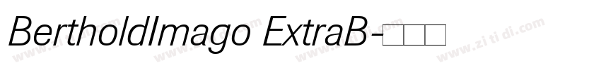 BertholdImago ExtraB字体转换 BertholdImago ExtraB字体转换